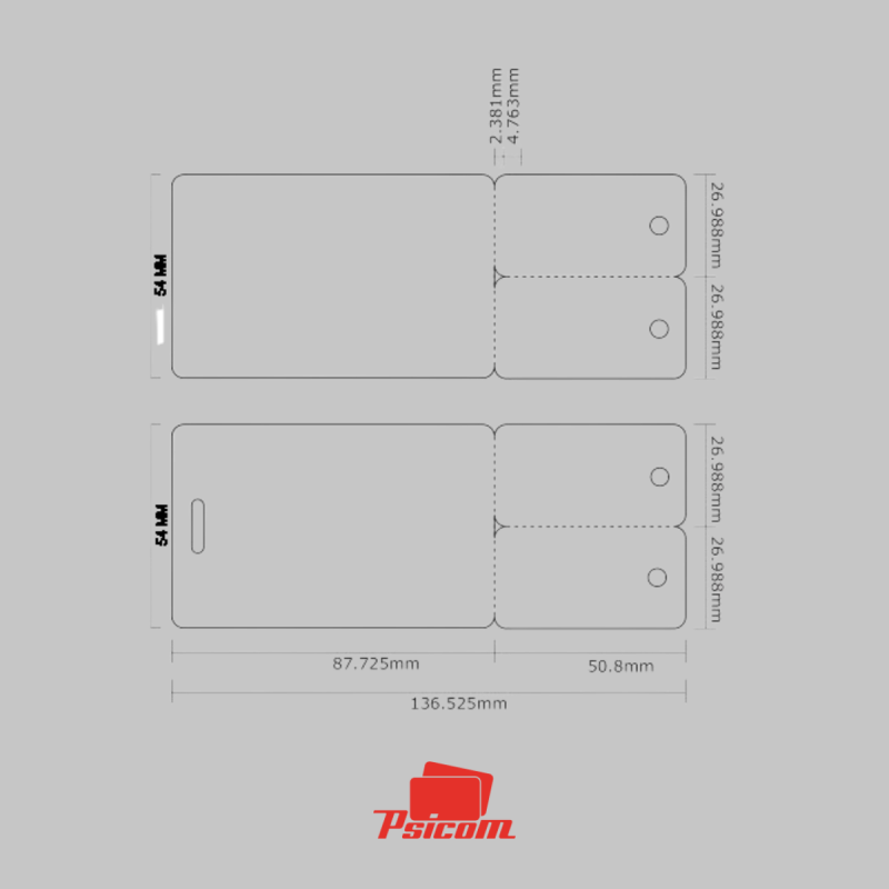 Gabarit carte ft CB + 2 mini-cartes PVC - PSICOM