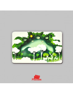 Carte fidélité PVC recyclé recto - PSICOM