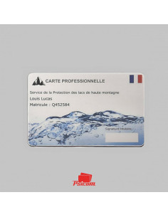 badge professionnelle plastique psicom